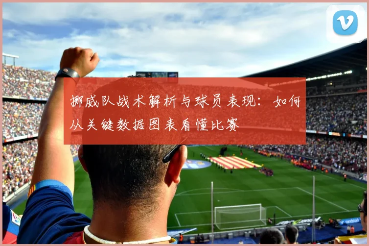 挪威队战术解析与球员表现：如何从关键数据图表看懂比赛